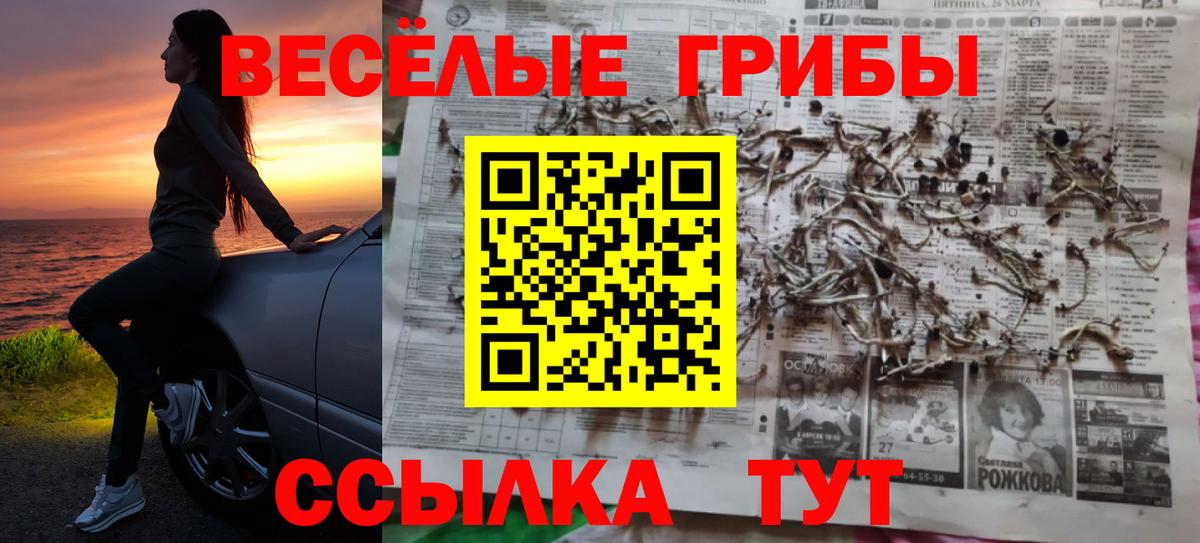 как найти наркотики  Псилоцибиновые грибы мицелий  Вход с VPN  Галлюциногенные грибы ЛСД  Лесозаводск 